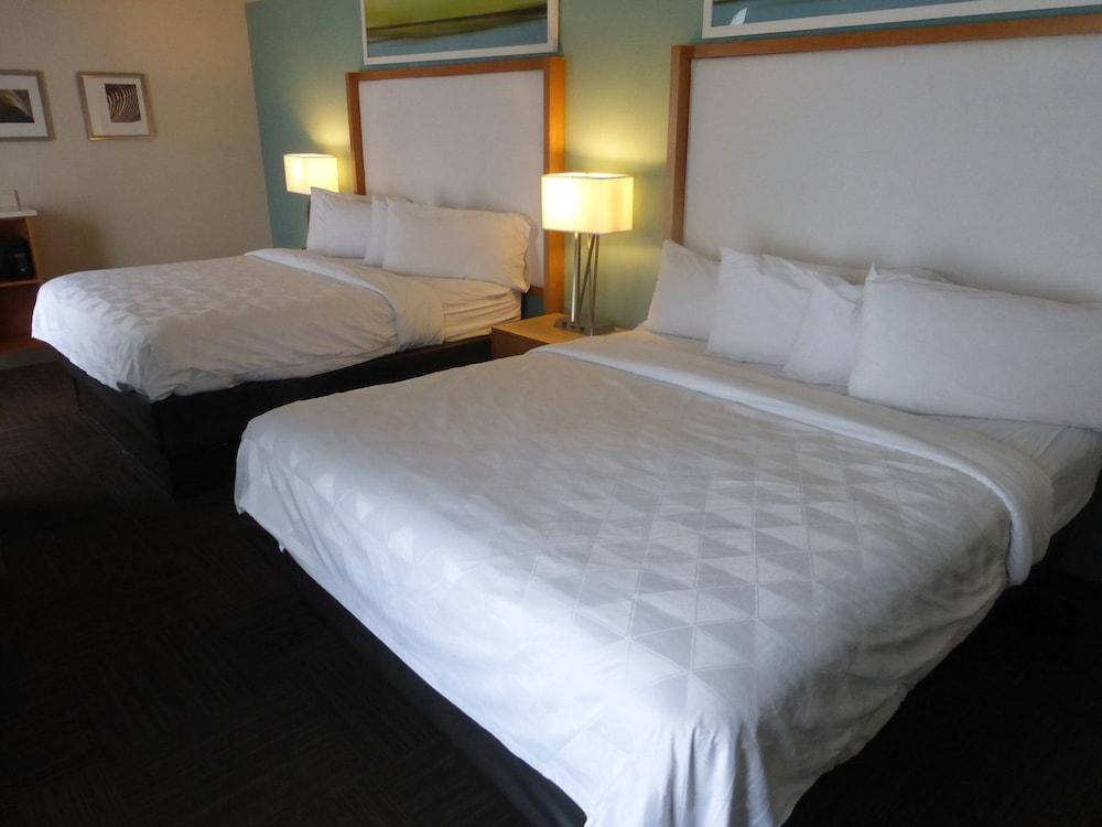 Red Roof Inn Plus & Suites Tampa Extérieur photo